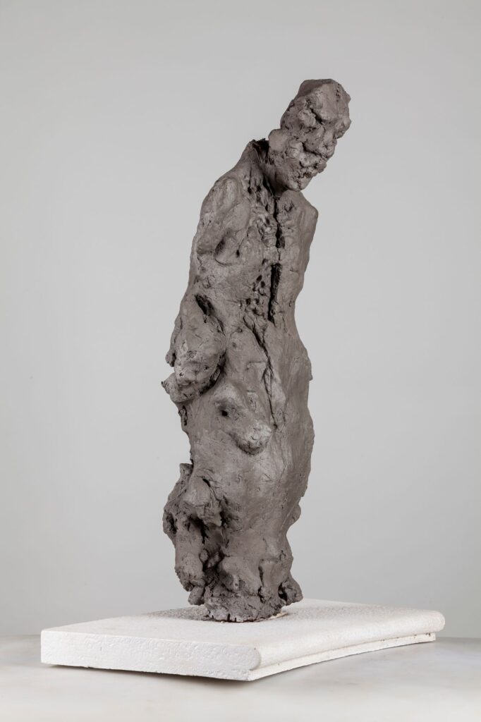 Opera n 22 polimaterico 26x16x74cm 2013