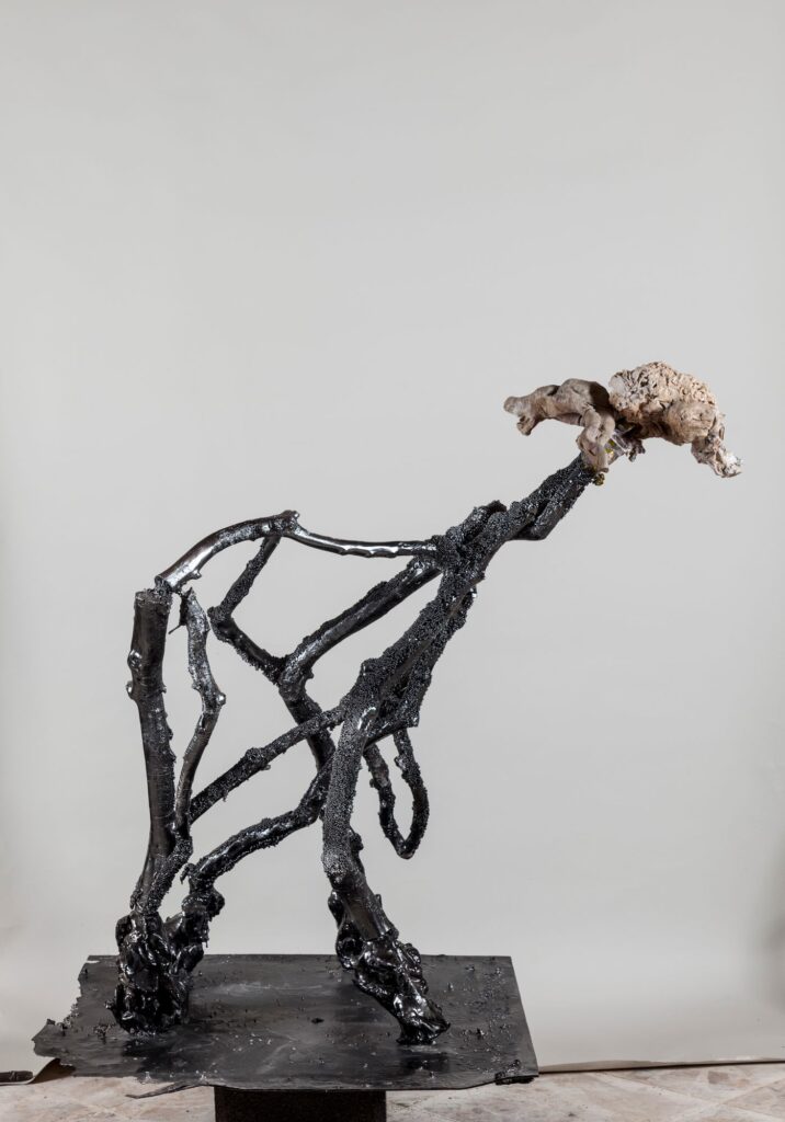Opera Goat Polimaterico 81x116x118 2008