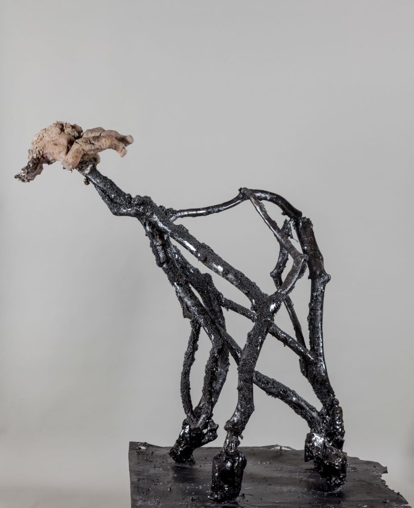 Opera Goat Polimaterico 81x116x118 2008
